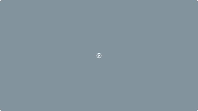 Video Riproduci Video