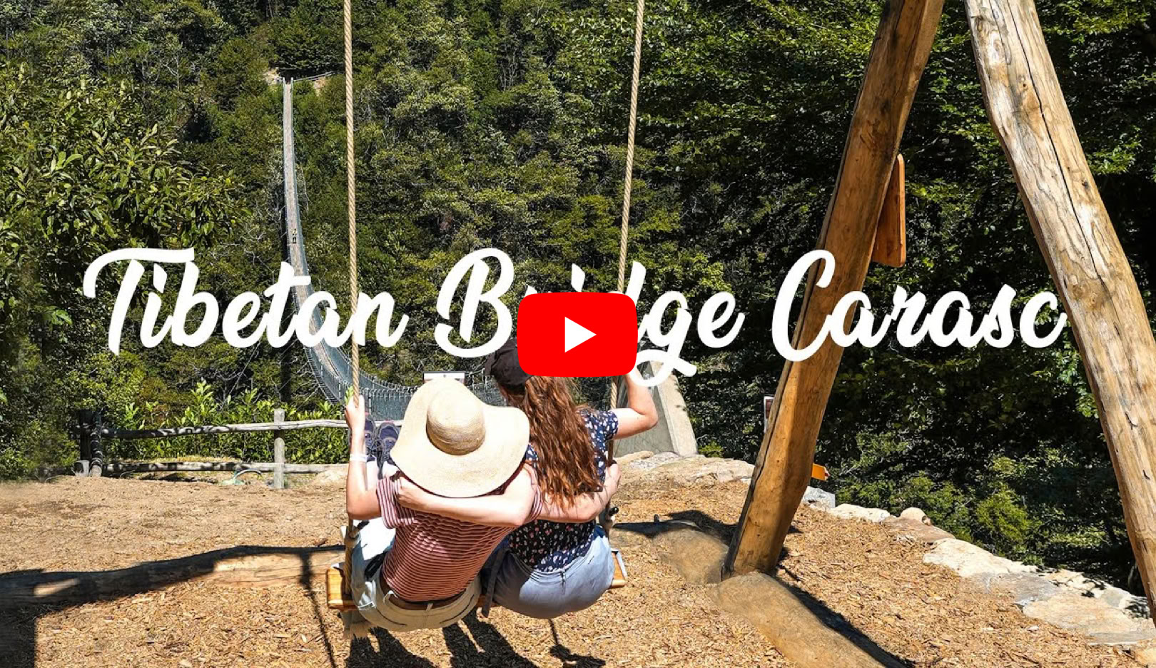 Video Riproduci Video